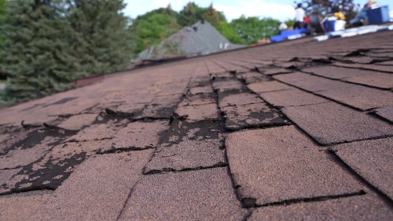 Best Roof Moss and Algae Removal  in Wichita, KS